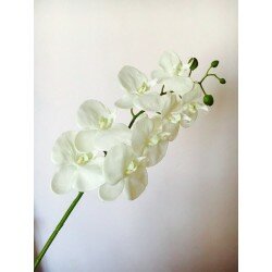 Ветка орхидеи 1035-2